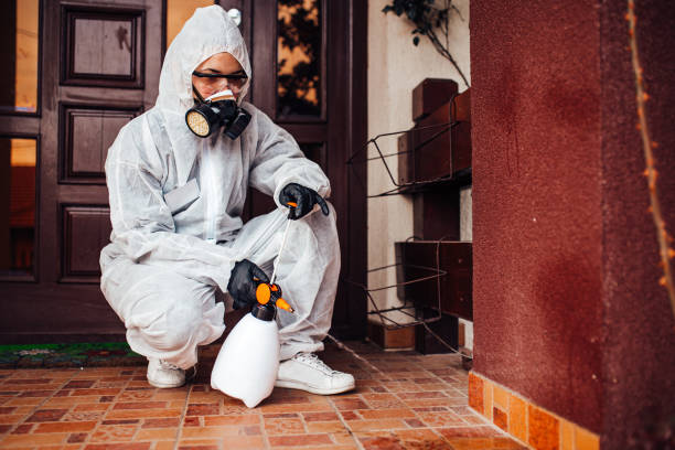 Reliable Wasp Removal contractor in Holden Heights, FL by Show Me Pest Control